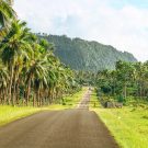 Vanuatu countryside road