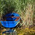 blue wooden boat hidden in reed plants on a lake